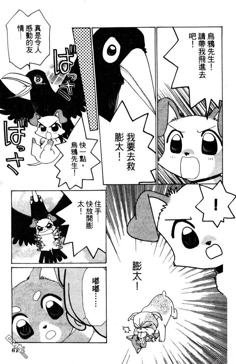 狗狗的小镇日记 第1卷 第63页