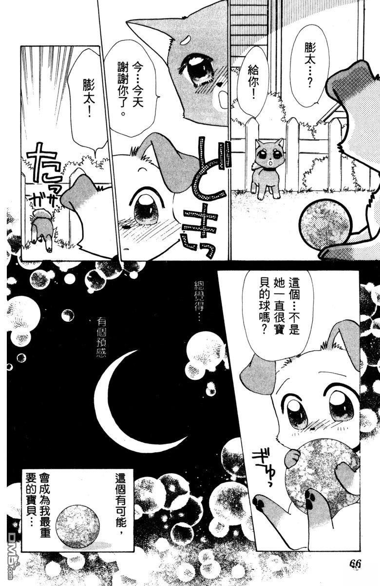 狗狗的小镇日记 第1卷 第68页