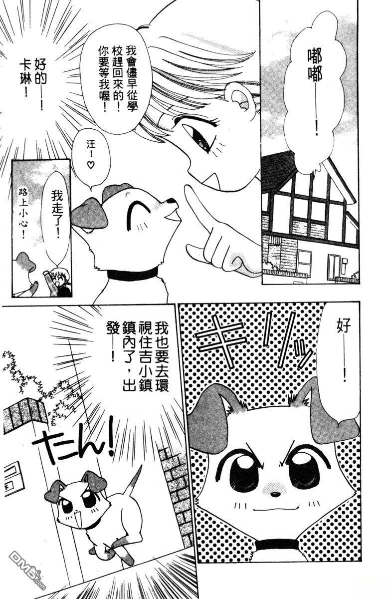 狗狗的小镇日记 第1卷 第7页