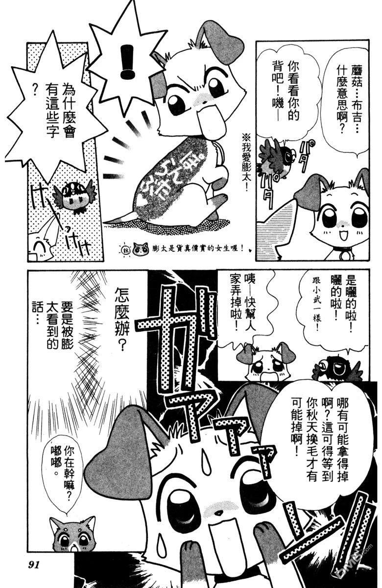 狗狗的小镇日记 第1卷 第93页
