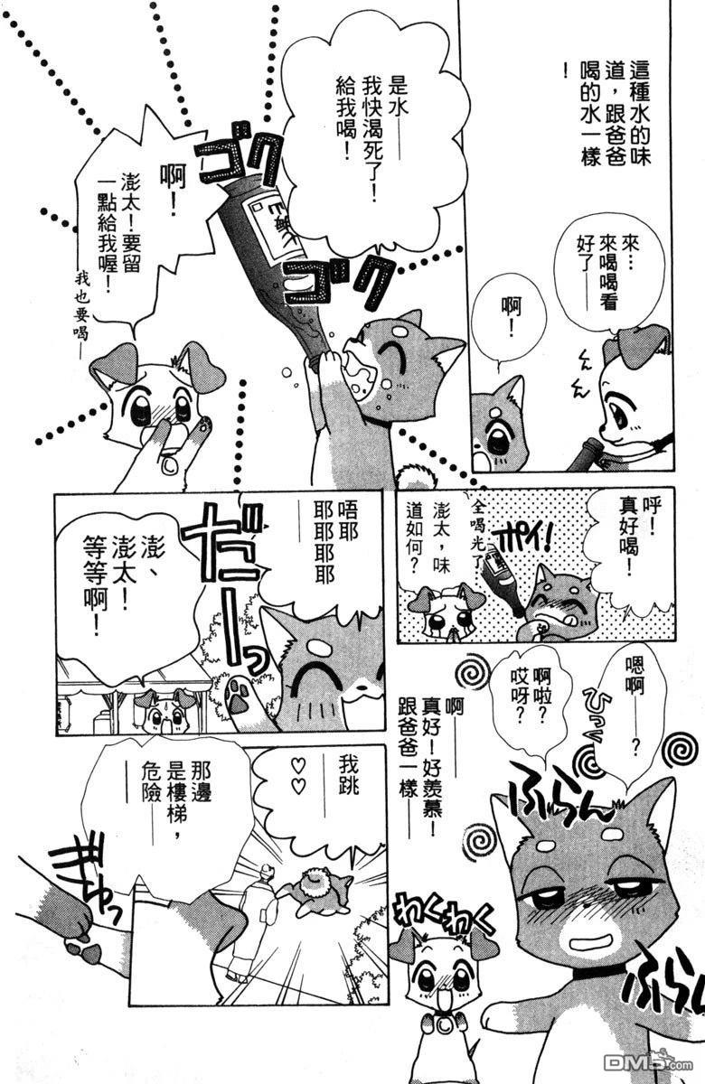 狗狗的小镇日记 第2卷 第12页