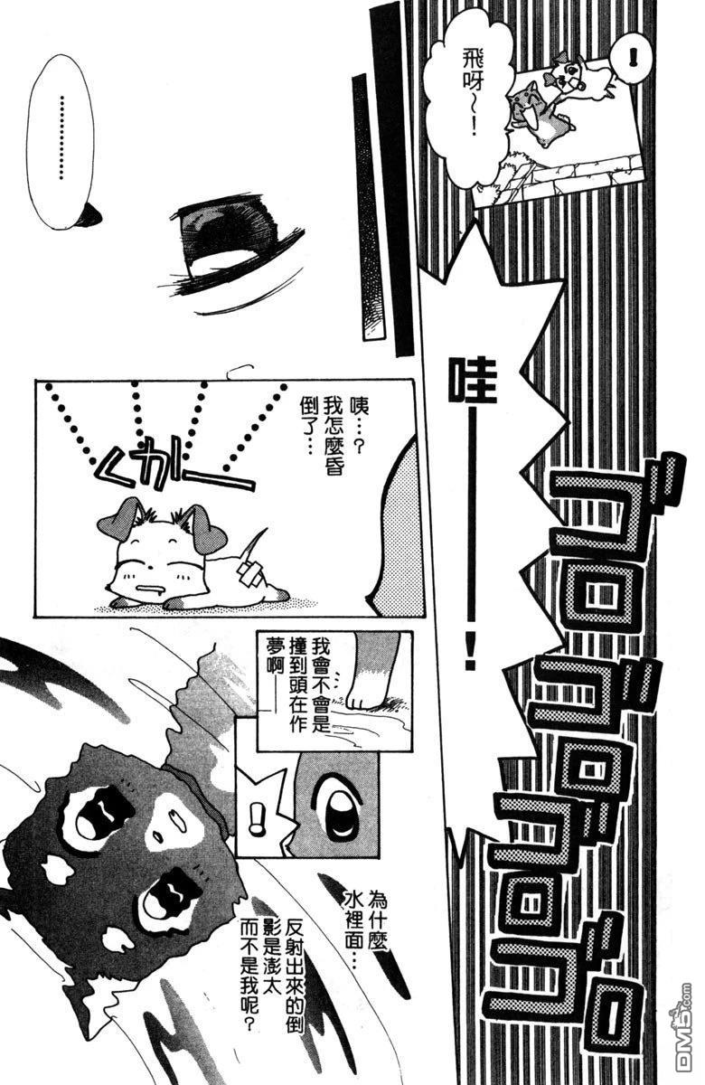 狗狗的小镇日记 第2卷 第13页