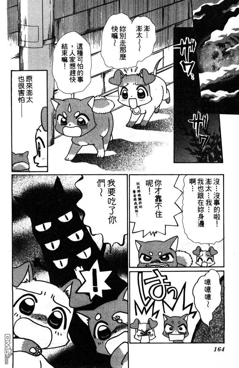 狗狗的小镇日记 第2卷 第166页