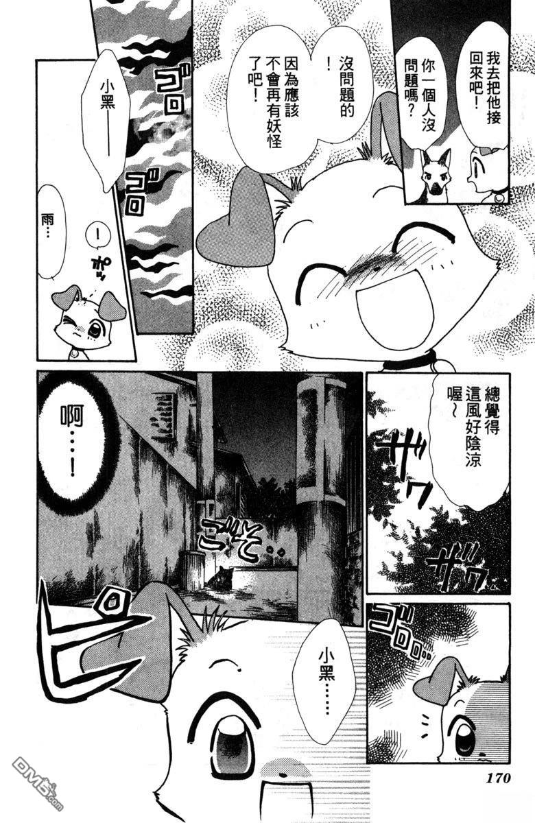 狗狗的小镇日记 第2卷 第172页