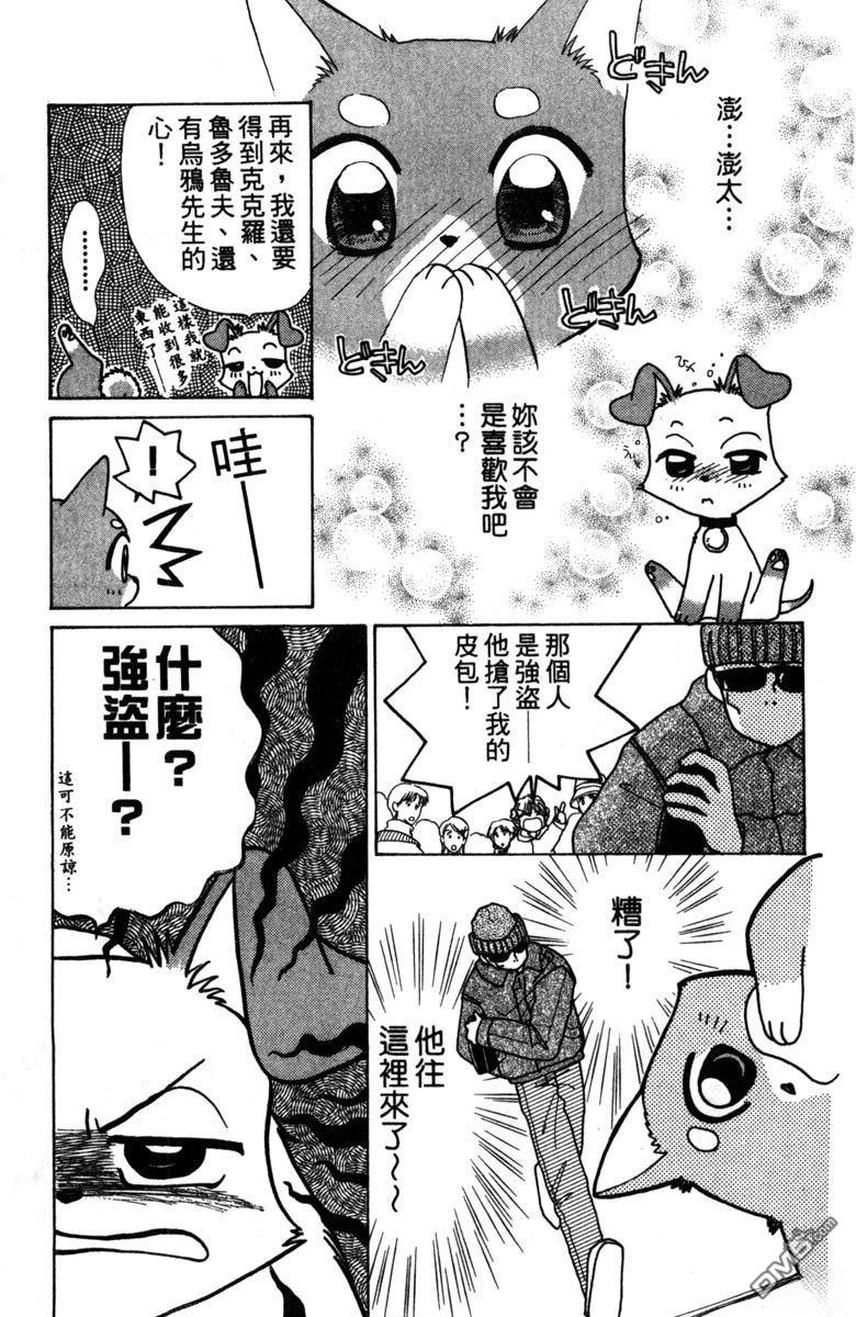 狗狗的小镇日记 第2卷 第19页