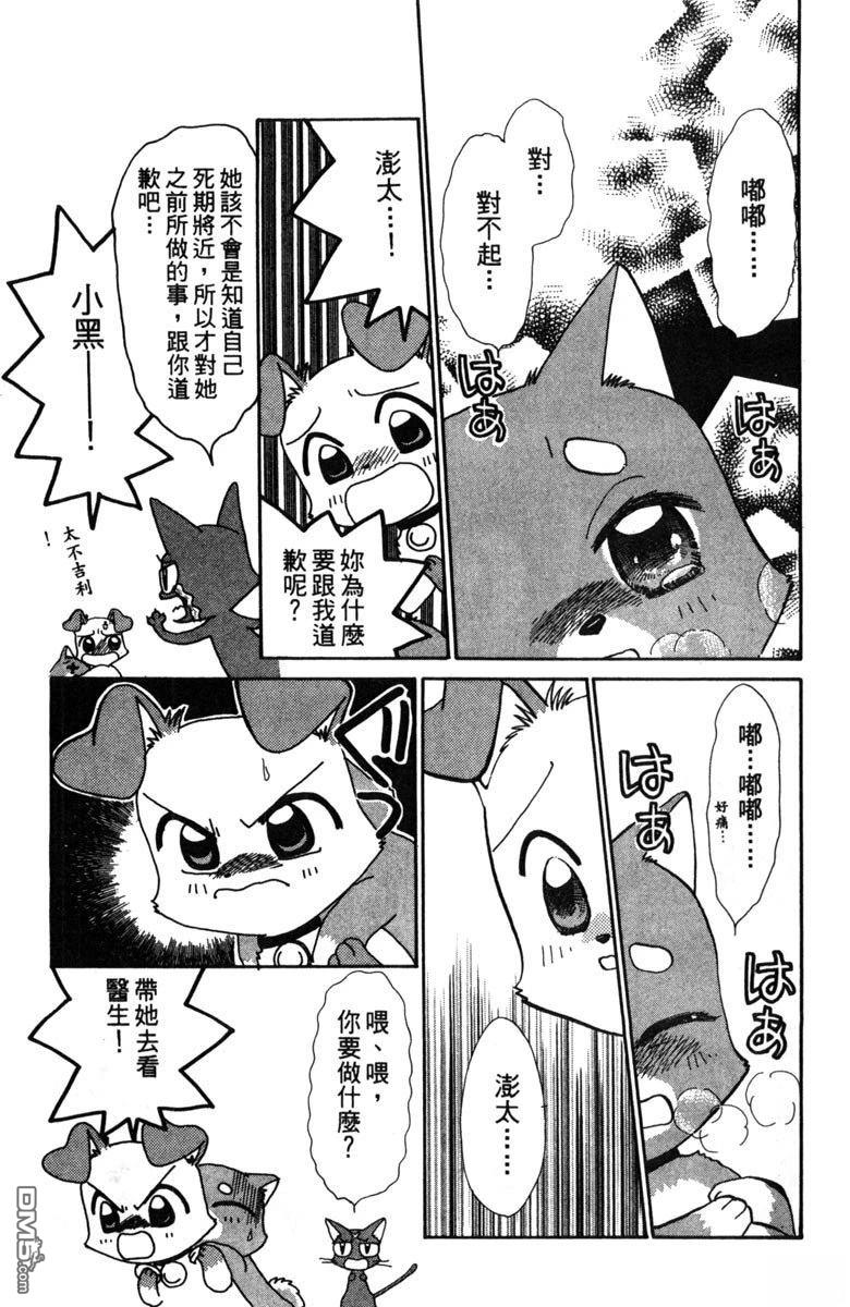 狗狗的小镇日记 第2卷 第85页