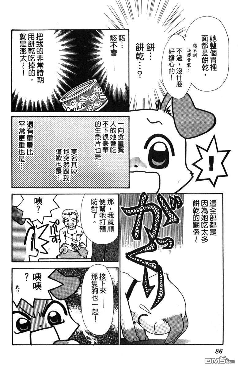 狗狗的小镇日记 第2卷 第88页
