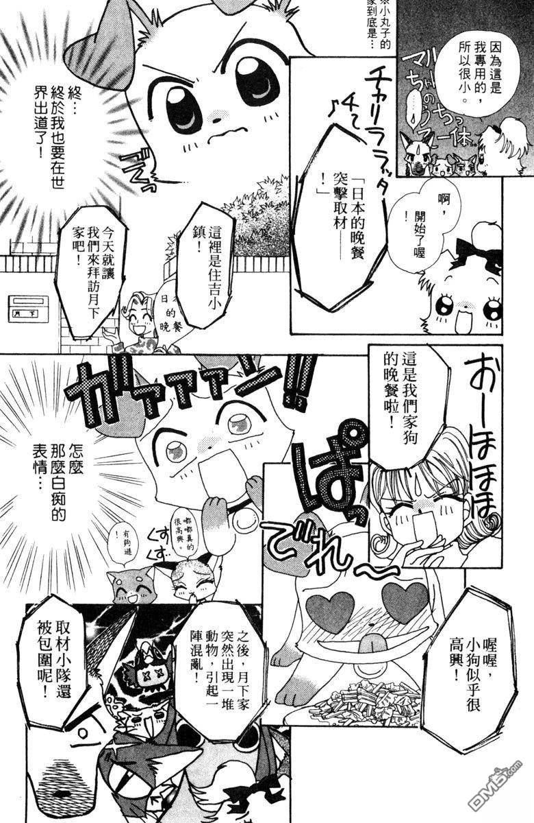 狗狗的小镇日记 第3卷 第126页