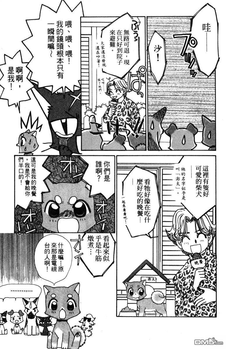 狗狗的小镇日记 第3卷 第127页