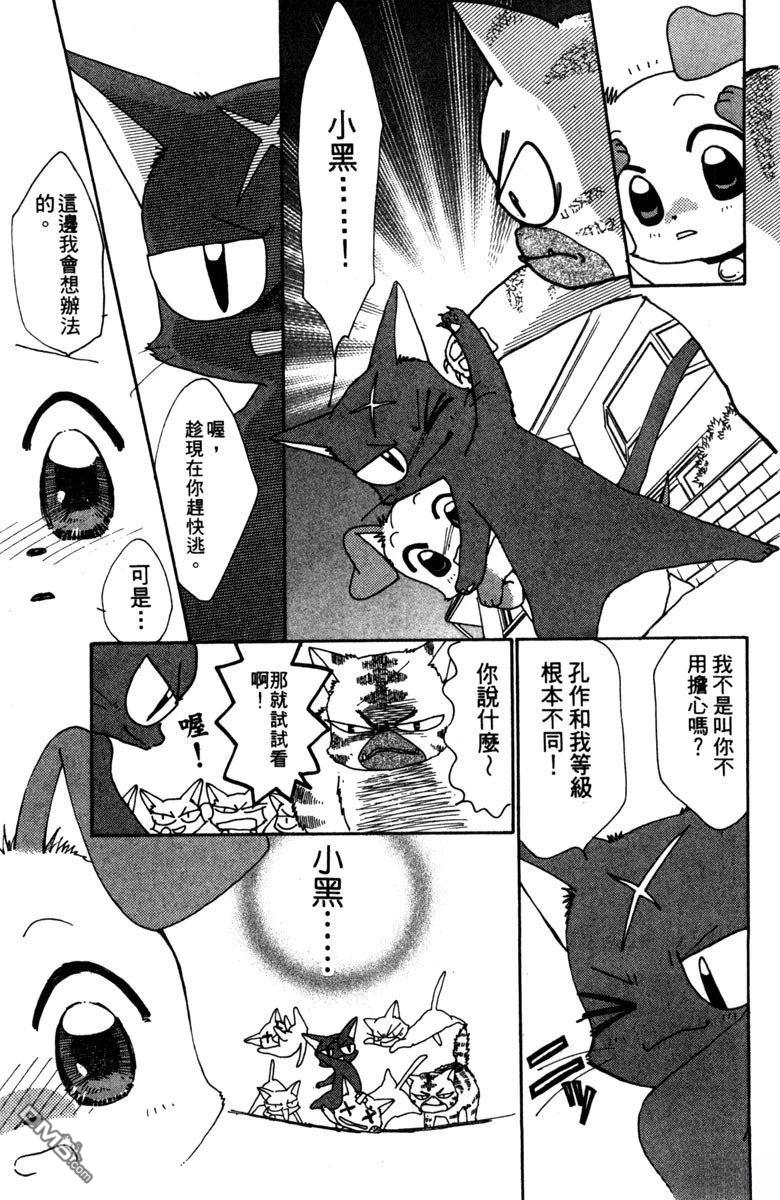 狗狗的小镇日记 第3卷 第17页