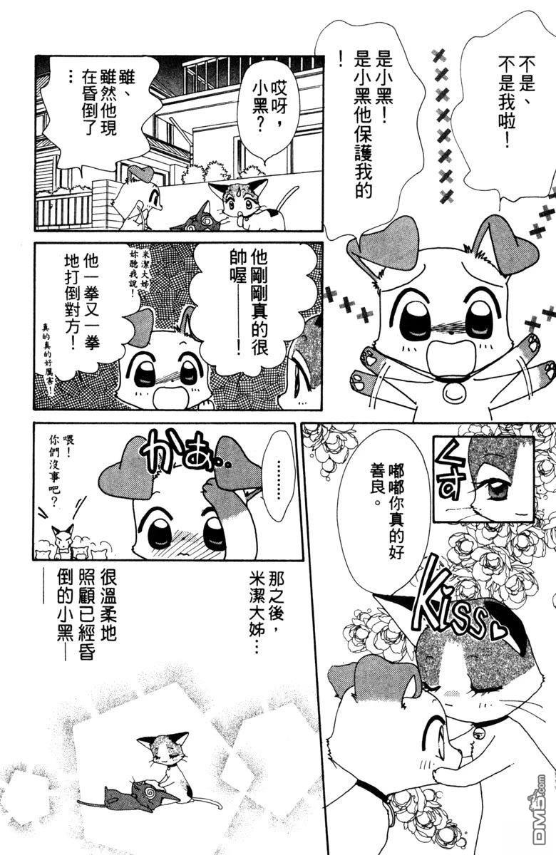狗狗的小镇日记 第3卷 第20页