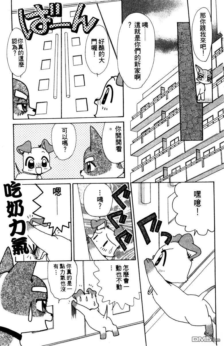 狗狗的小镇日记 第3卷 第47页