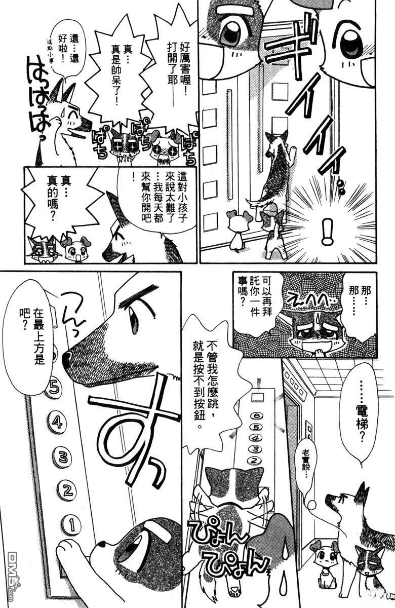 狗狗的小镇日记 第3卷 第51页