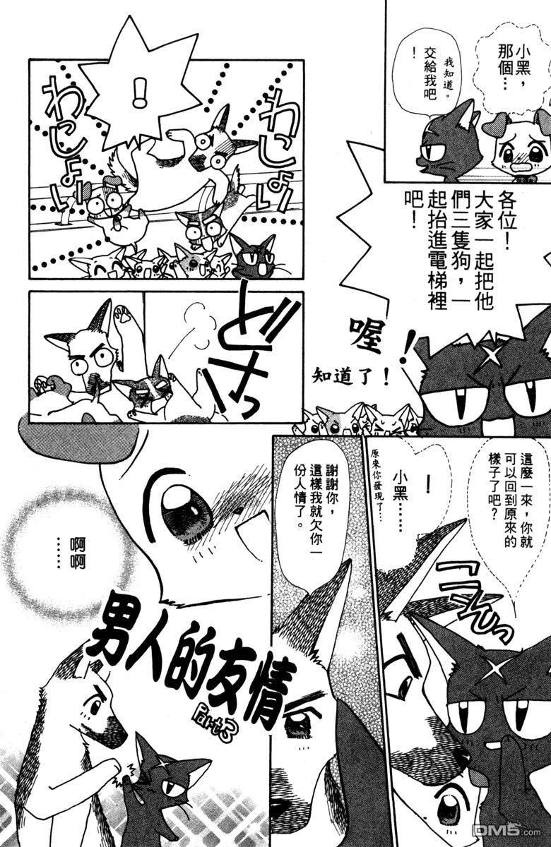 狗狗的小镇日记 第3卷 第56页