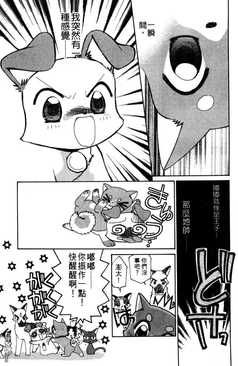 狗狗的小镇日记 第3卷 第93页