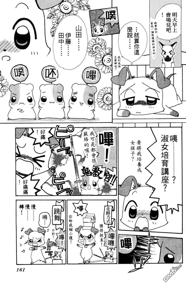 狗狗的小镇日记 第4卷 第163页