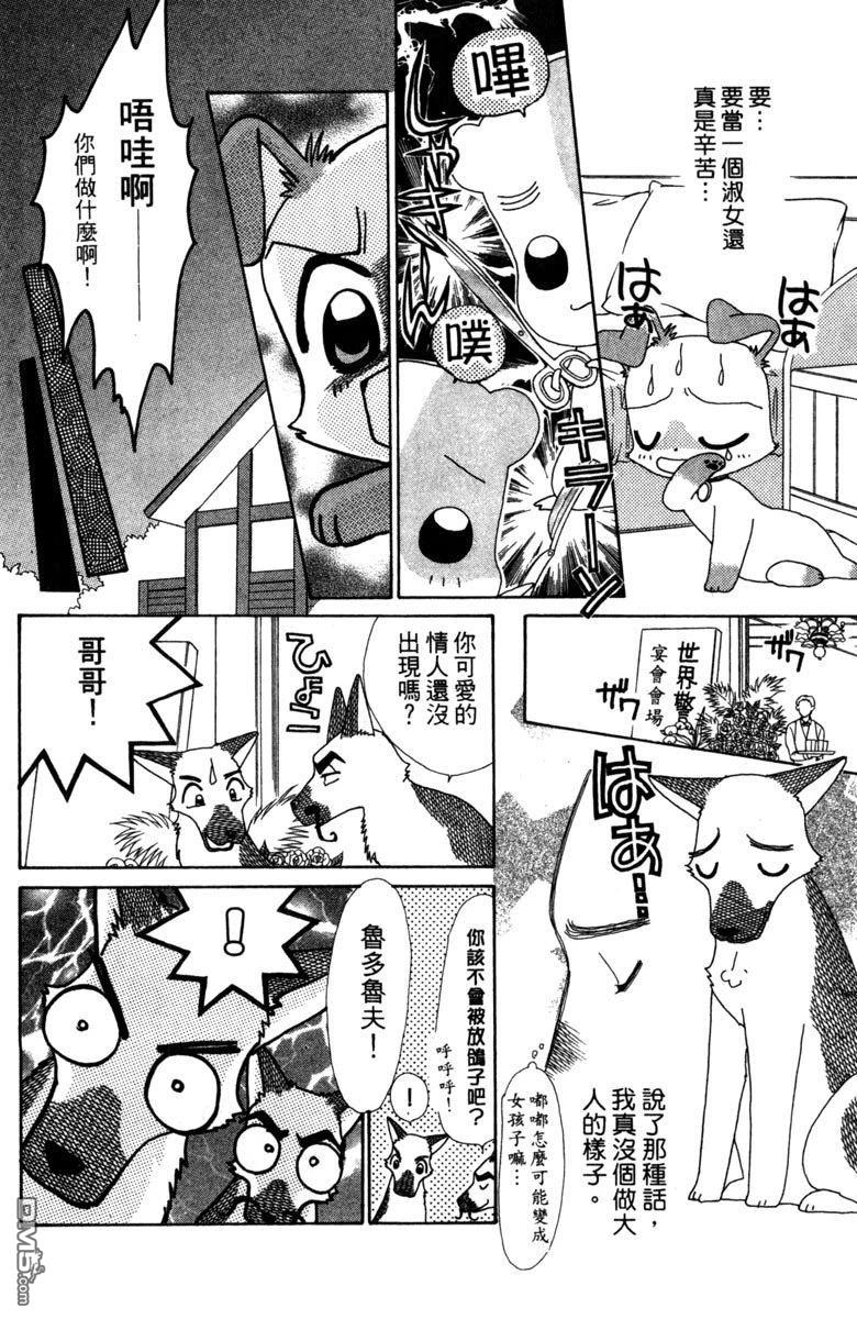 狗狗的小镇日记 第4卷 第164页