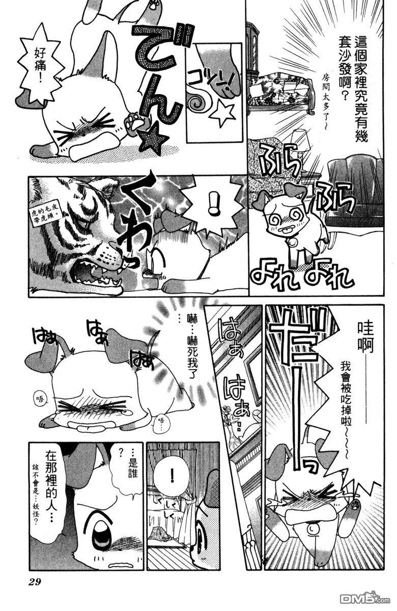 狗狗的小镇日记 第4卷 第31页