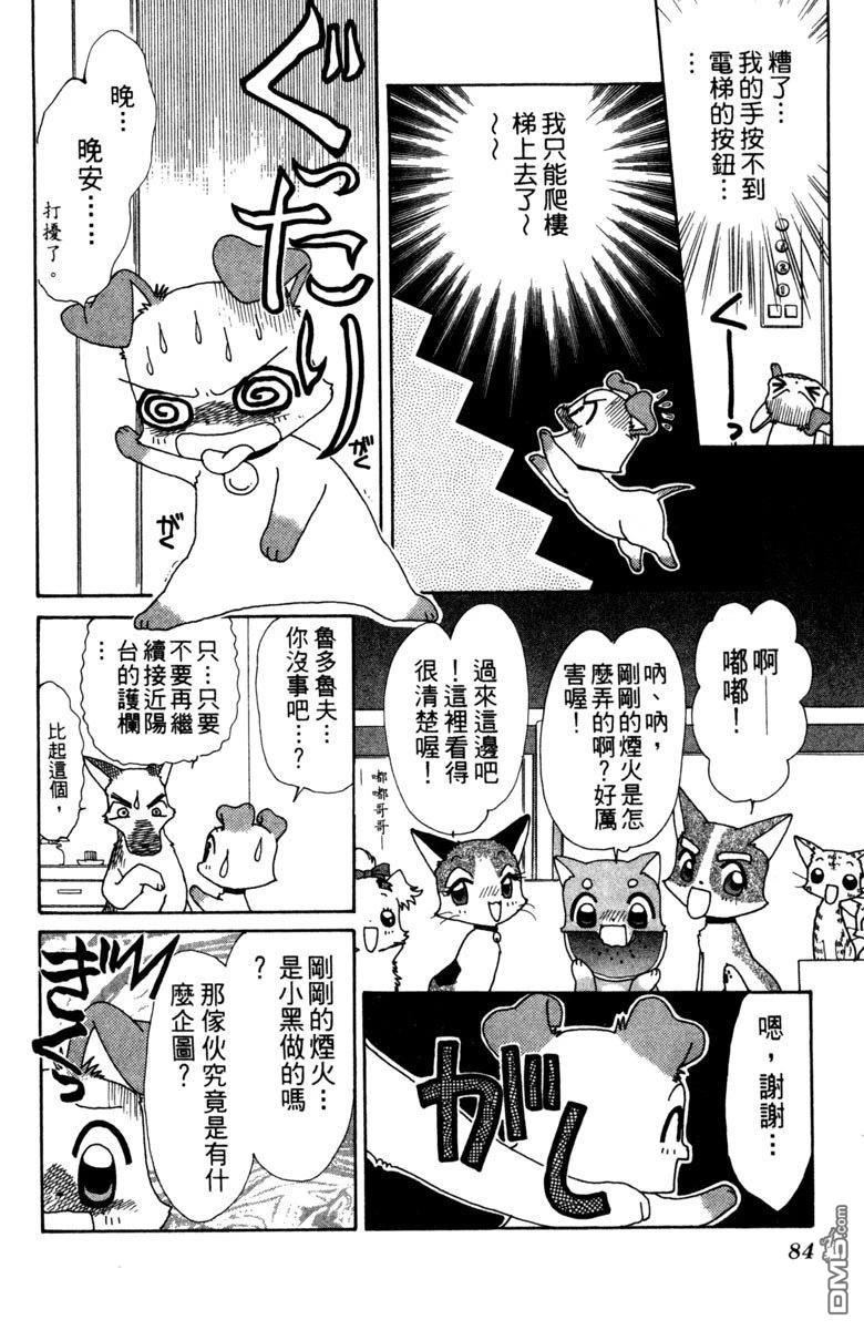 狗狗的小镇日记 第4卷 第86页