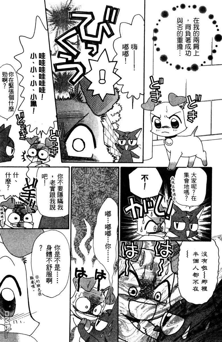 狗狗的小镇日记 第5卷 第11页
