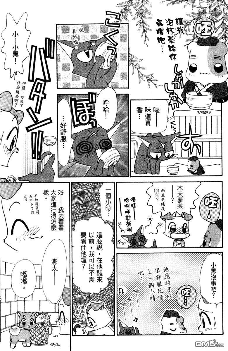 狗狗的小镇日记 第5卷 第13页