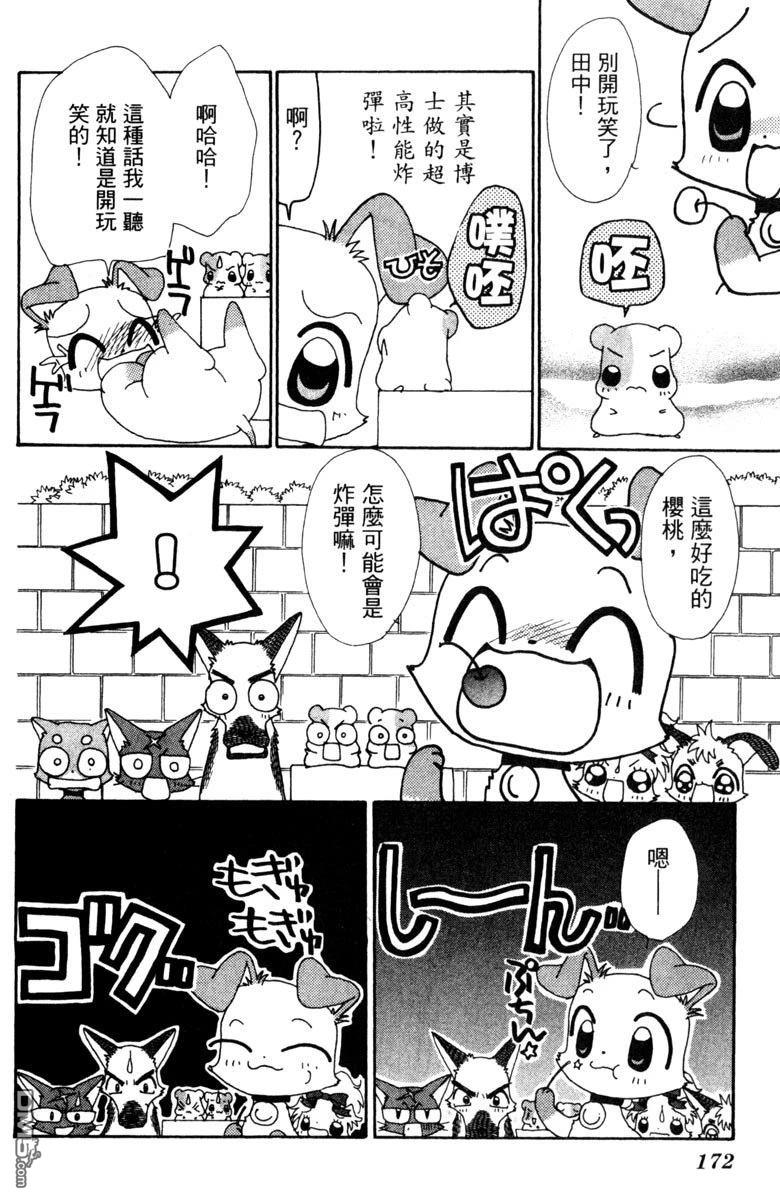 狗狗的小镇日记 第5卷 第172页