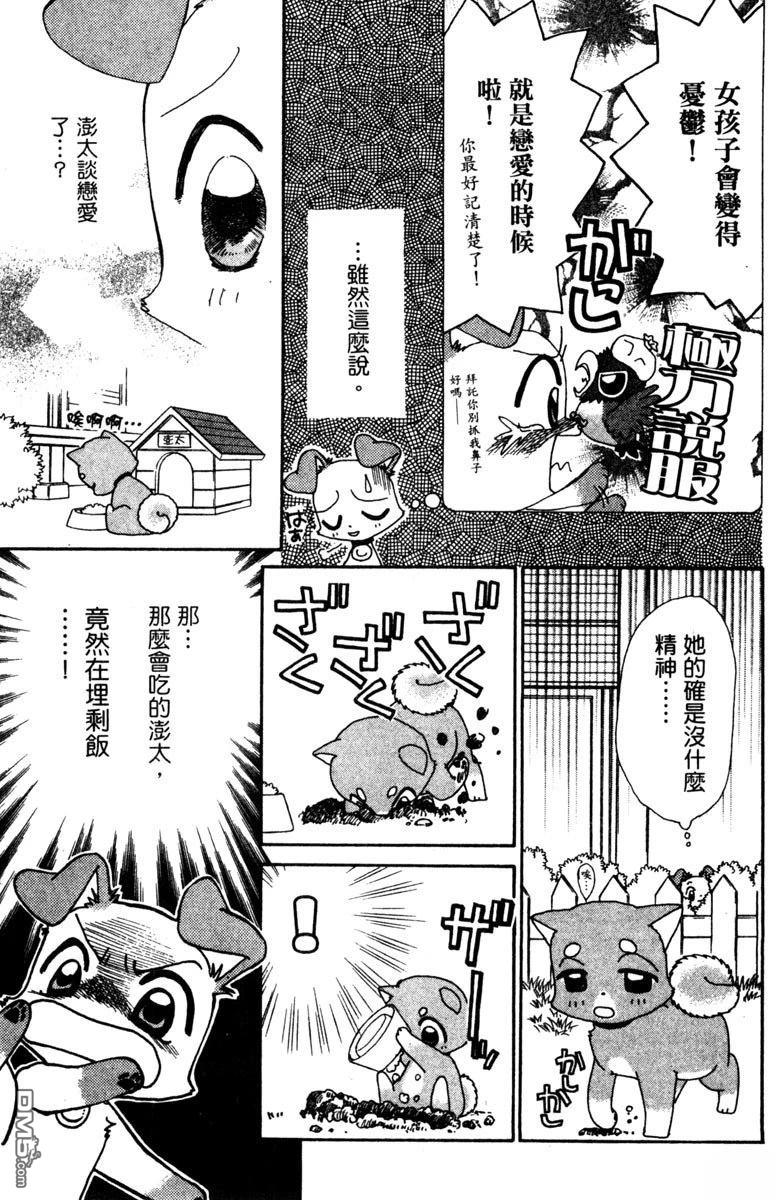 狗狗的小镇日记 第5卷 第27页