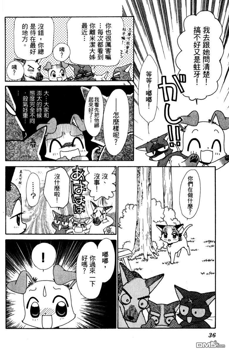 狗狗的小镇日记 第5卷 第36页