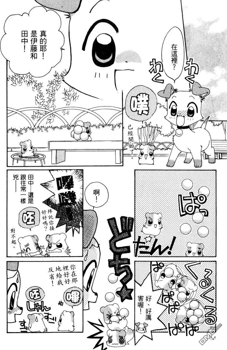 狗狗的小镇日记 第5卷 第44页