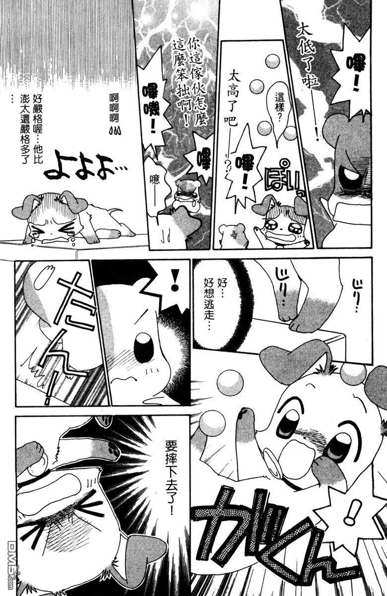 狗狗的小镇日记 第5卷 第46页