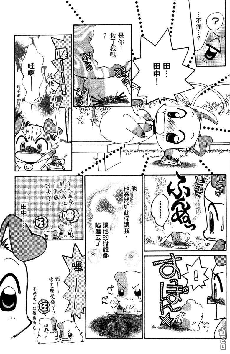 狗狗的小镇日记 第5卷 第47页