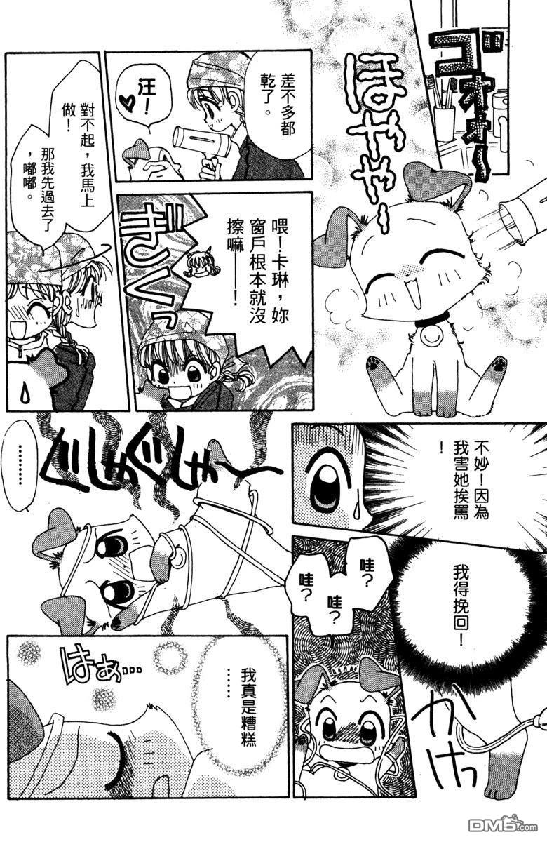 狗狗的小镇日记 第5卷 第62页