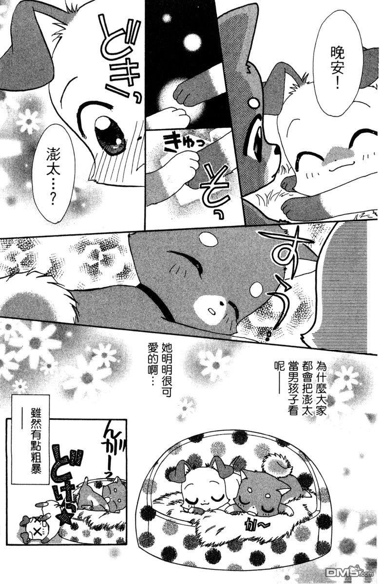 狗狗的小镇日记 第6卷 第137页