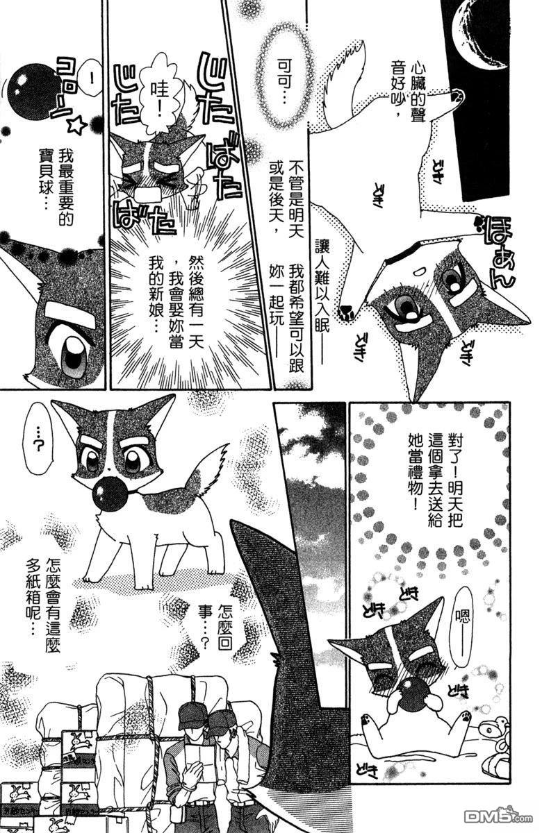 狗狗的小镇日记 第6卷 第149页