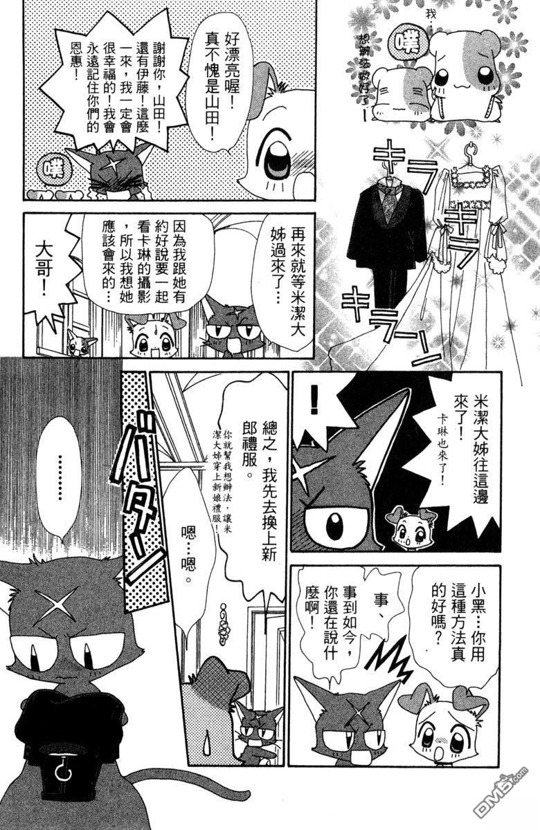 狗狗的小镇日记 第6卷 第29页