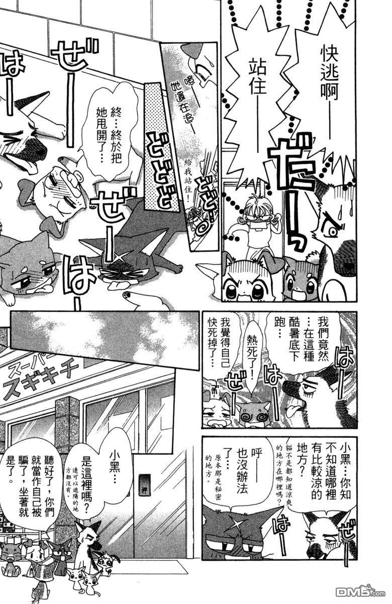 狗狗的小镇日记 第6卷 第45页