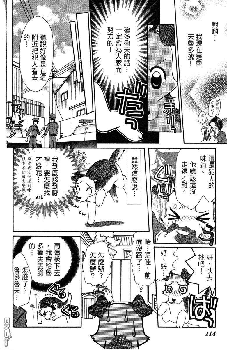 狗狗的小镇日记 第7卷 第114页