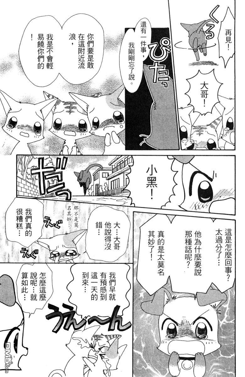 狗狗的小镇日记 第7卷 第33页