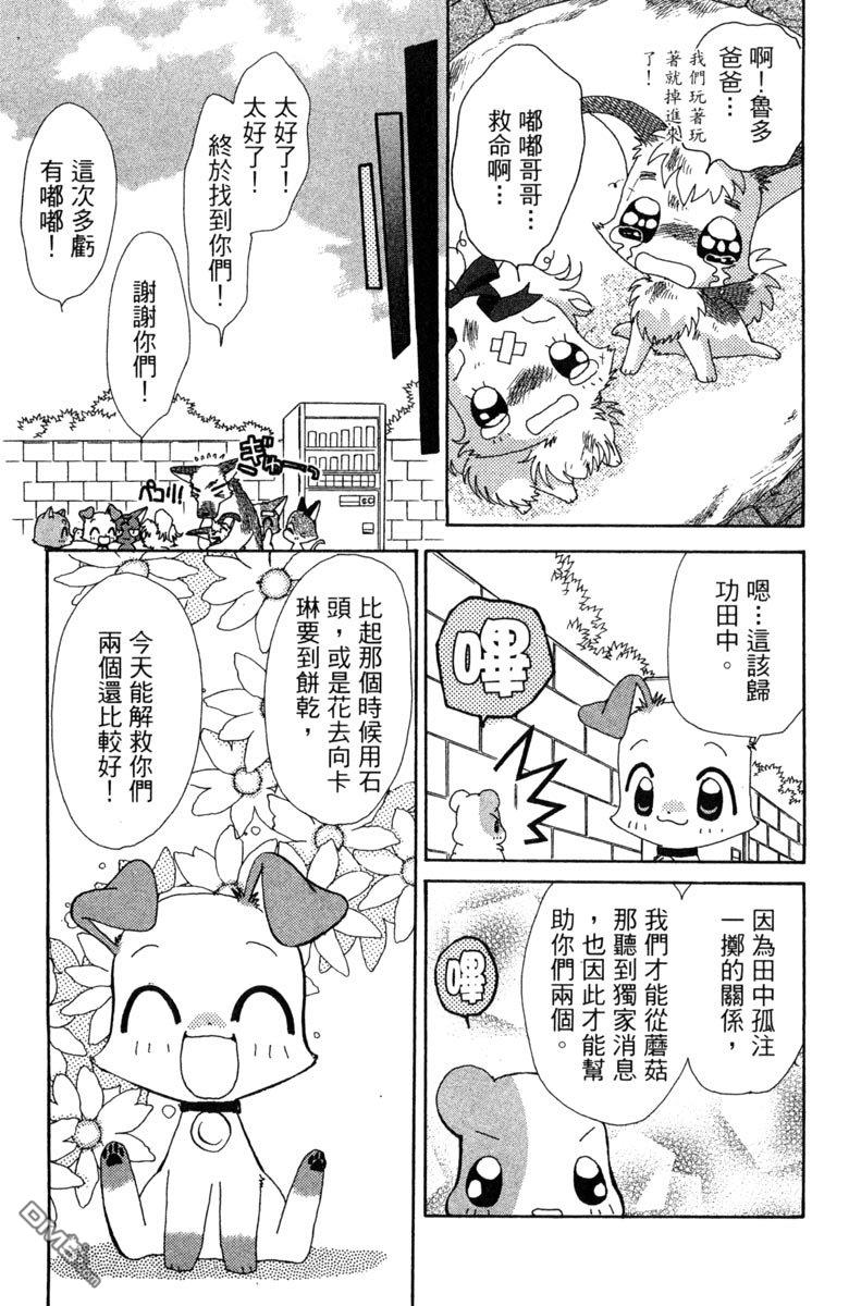 狗狗的小镇日记 第7卷 第71页