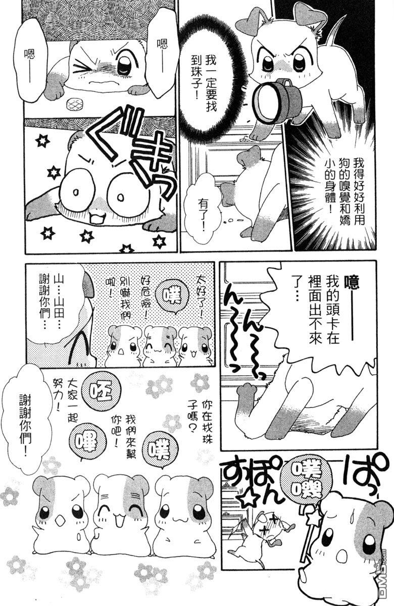 狗狗的小镇日记 第7卷 第95页