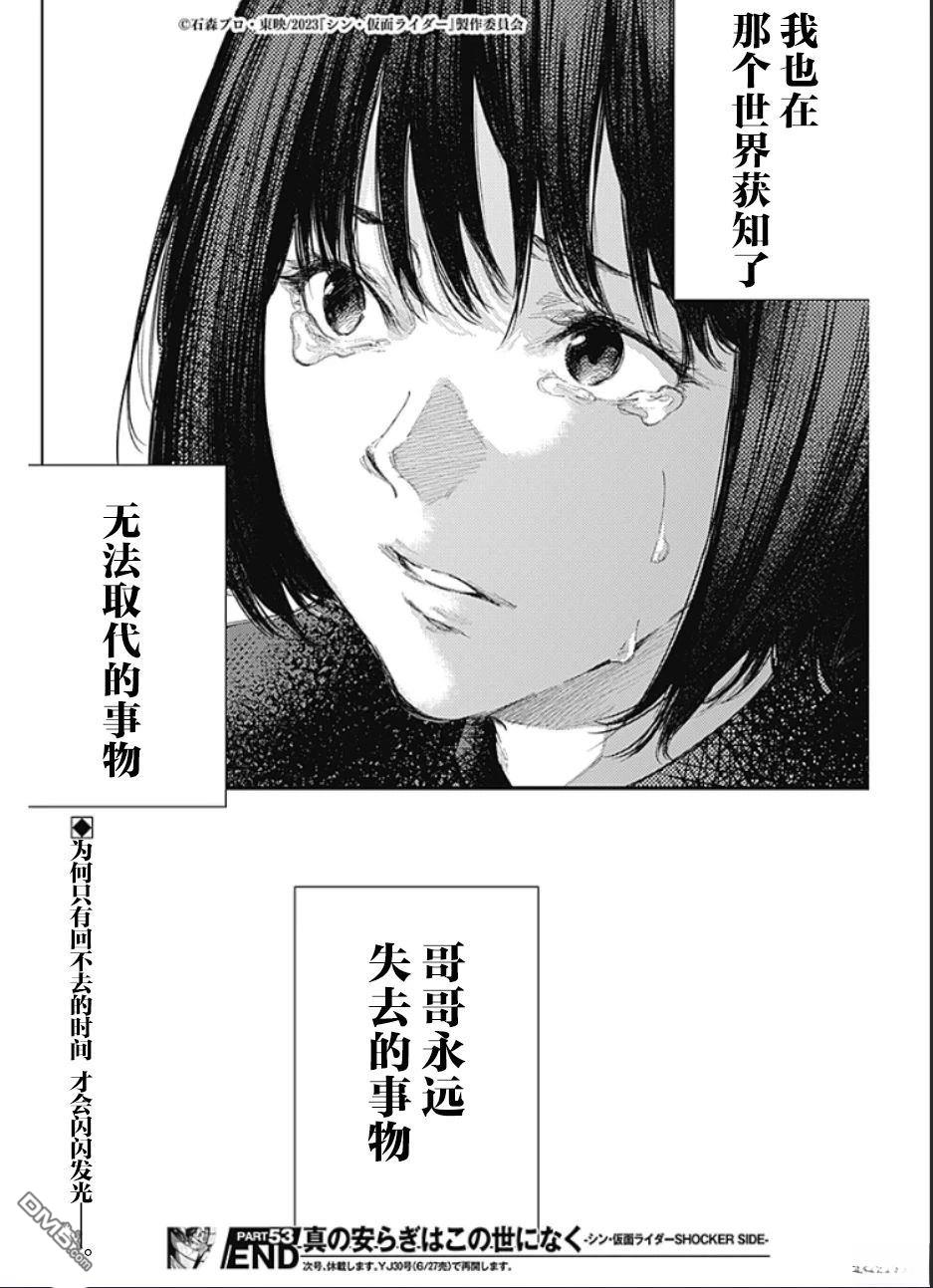 真正的安宁在此世界不存在-新.假面骑士-SHOCKER SIDE 第53话 第17页