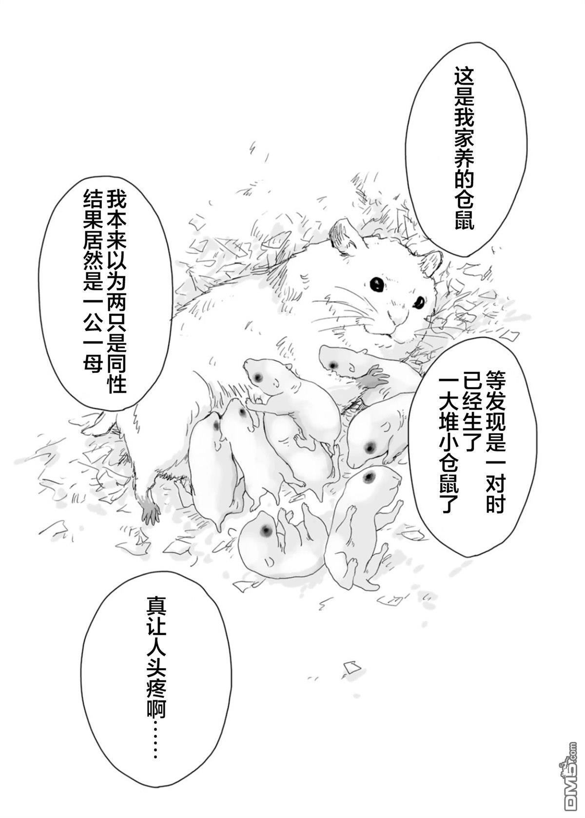 实衣与山田 第6话 第3页