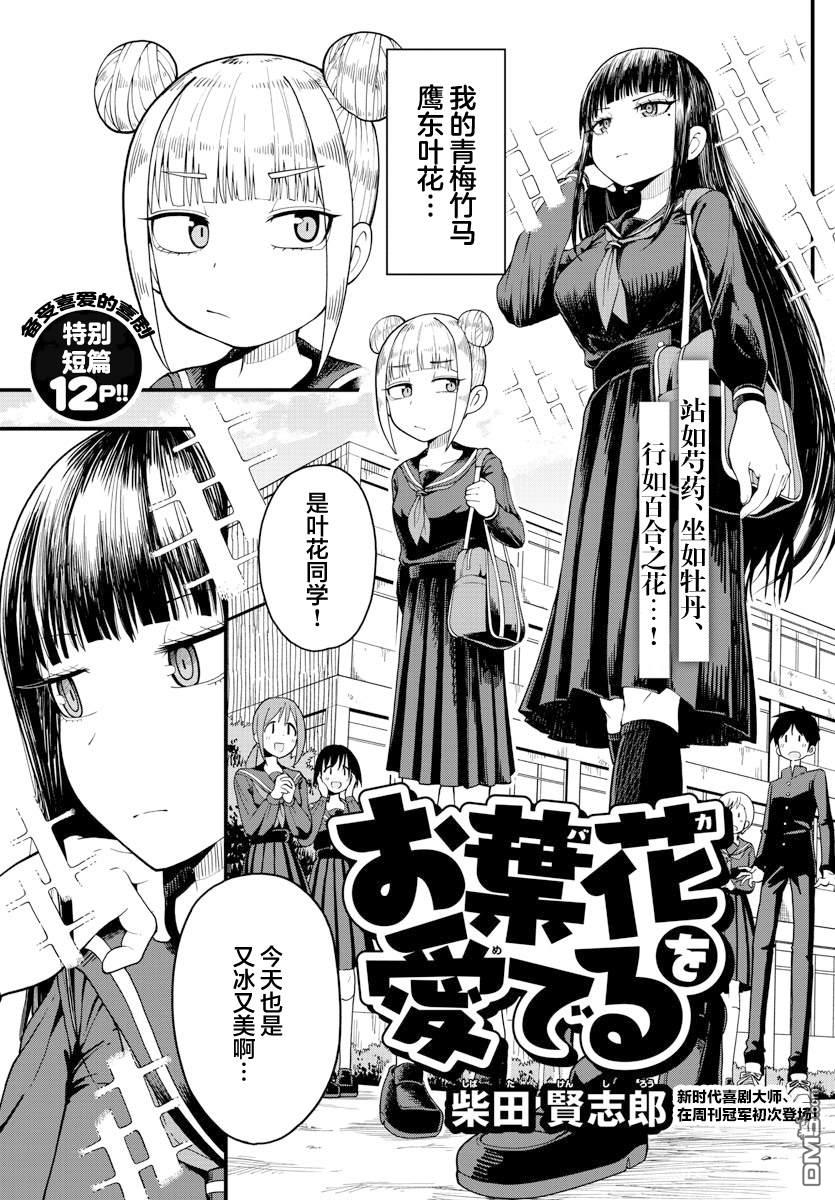 倾慕笨花 [番外] 短篇 第1页