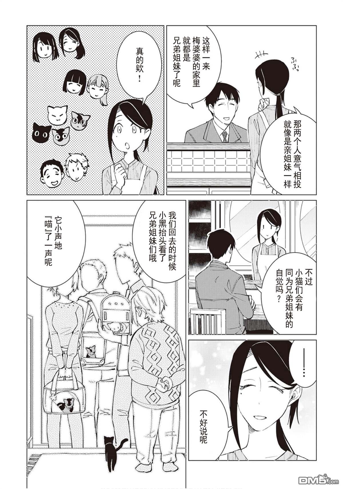黑心居酒屋 第26话 猫的牵绊，人的牵绊（后篇） 第20页