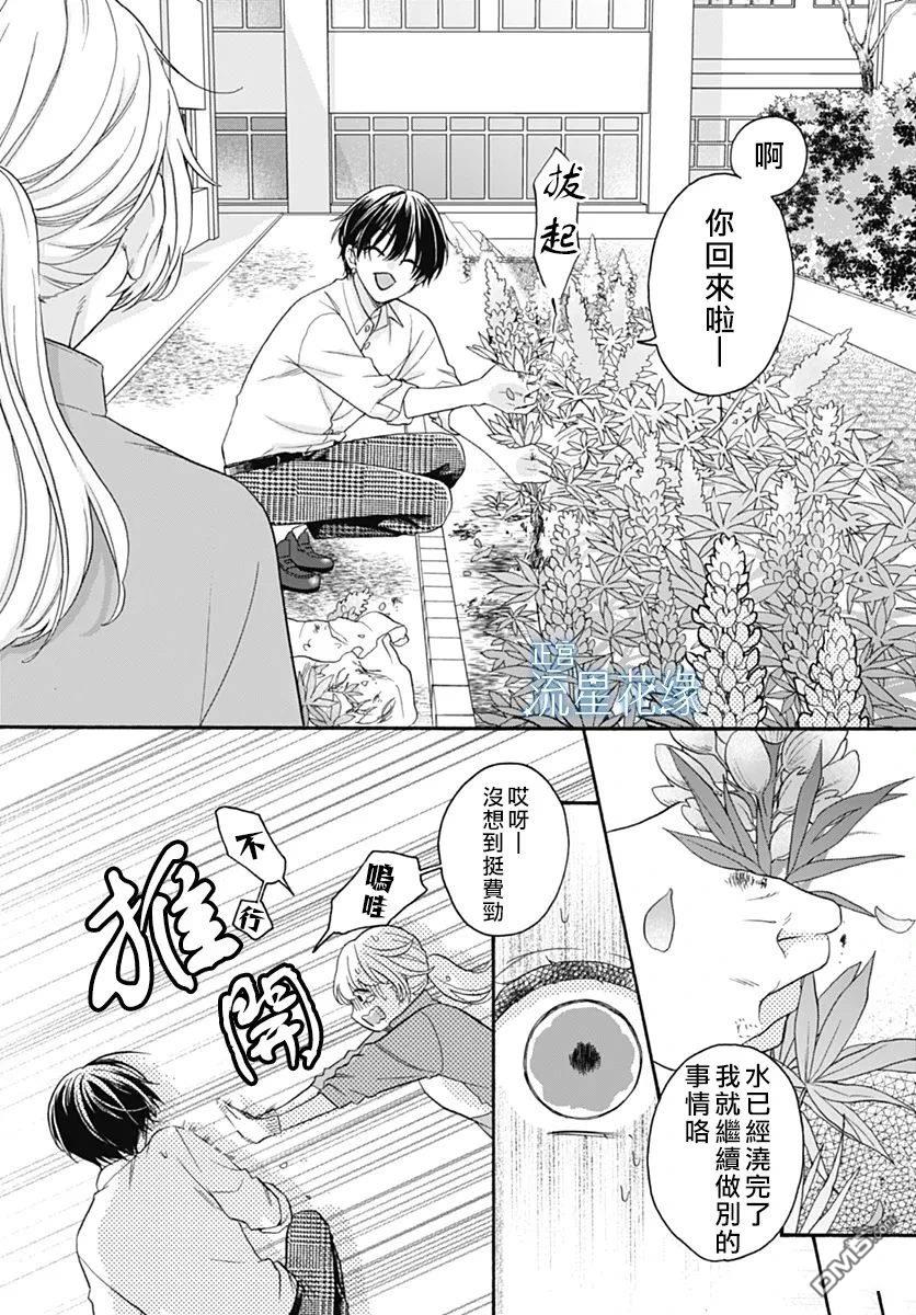 流星花缘 第1话 第19页