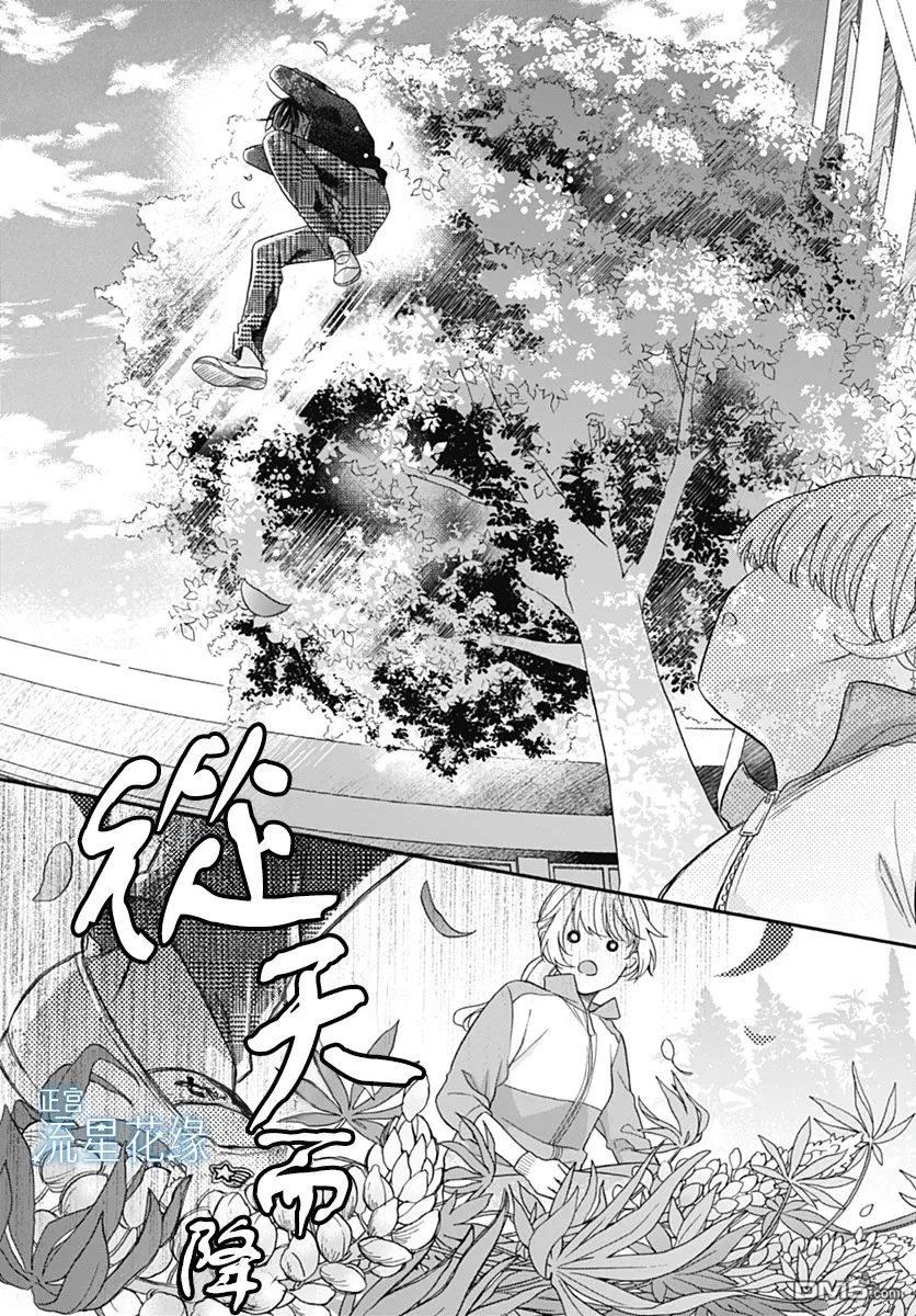 流星花缘 第1话 第9页