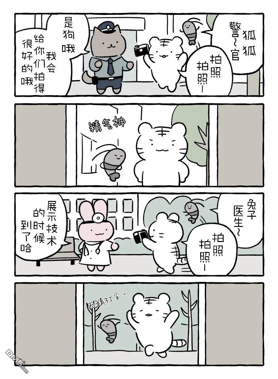 白虎和黑虎 [番外] 拍照片 第4页