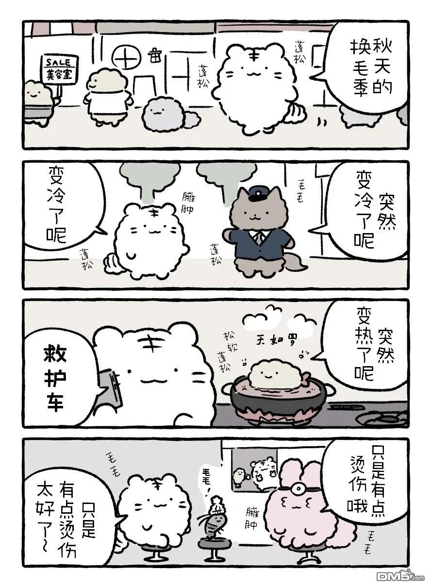 白虎和黑虎 [番外] 换毛期 第2页