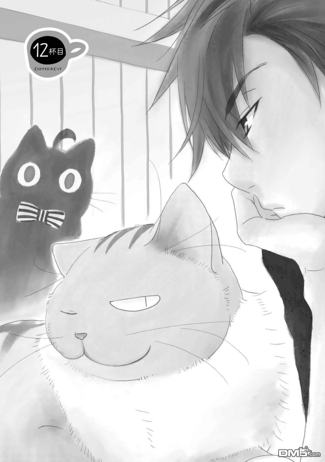 纯吃茶猫 第12话 第1页