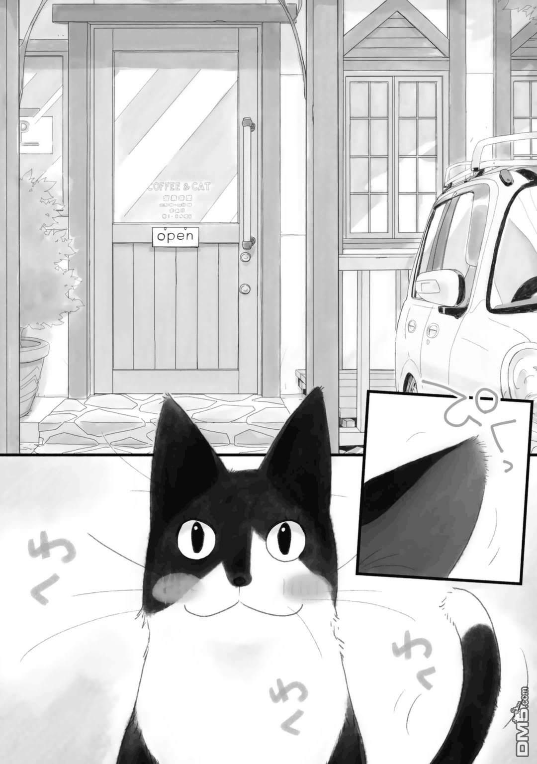 纯吃茶猫 第12话 第2页